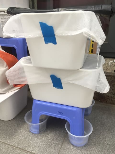 Keep Houseflies & Ants Away From Black Soldier Flies Compost Box